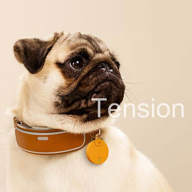 創(chuàng)意產(chǎn)品設計案例——Tension狗狗GPS定位器